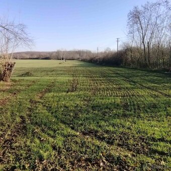 Dom Tesárske Mlyňany časť Tesáre - 7