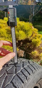 SEBRING SNOW, ZIMNE, CELOROCNE, 195/65 R15, 95T, M+S - 7