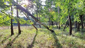 HALO reality - Predaj, pozemok   5643 m2 Borský Svätý Jur, T - 7