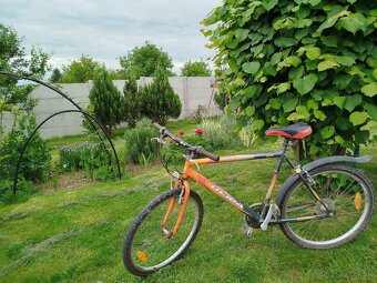Bicykel Dema - 7