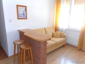 Prenájom 1izbovy byt s kuchynou 40m2 Staré Mesto - 7