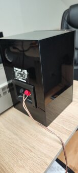 Yamaha CRX-E320 - 7