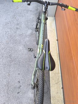 Vedora Camouflage - 7