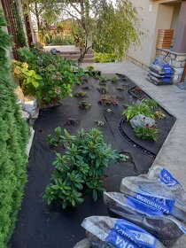 Realizácie záhrad,rez ovocných stromov a drevín - 7