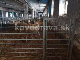 Ohradové panely pre mäsový dobytok SKLADOM od výrobcu - 7