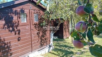 HALO reality - Predaj, chalupa Rimavská Sobota - EXKLUZÍVNE - 7