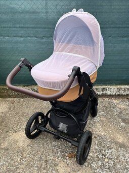 Bebetto Luca Pro - 7