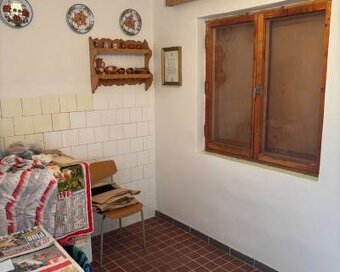 PREDAJ, VINIČNÝ DOMČEK S VINOHRADOM - PODLUŽANY - 7
