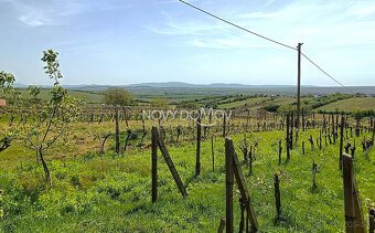 NA PREDAJ - vinice, obec Strekov, výmera 4659 m2 - 7