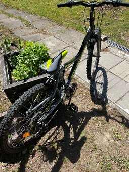 Bicykel CTM WILLY 1.0 - 7