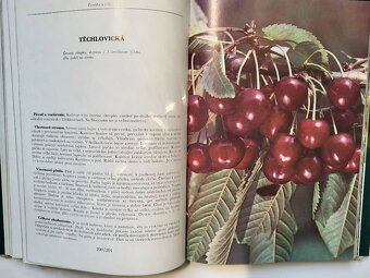 Pavol Cifranič a kolektív - Pomológia - 7