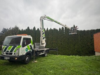 Pílenie stromov, výrub stromov - 7