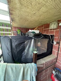 Predam growtent 160x80x80cm - 7