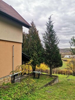 Podkrovná chatka - 7