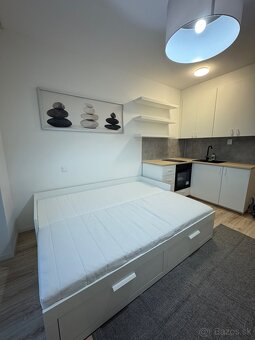 Prenajom 1 izbovy byt v Slnecnice- POP Bratislava - 7