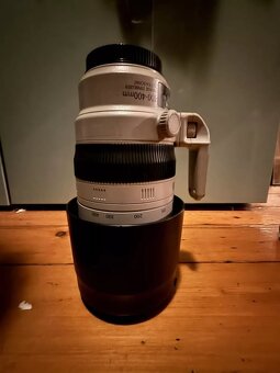 Canon 100-400mm f/4.5-5.6 L IS USM II - 7