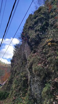 VÝRUB/OREZ STROMOV, LACNO A BEZPEČNE - 7