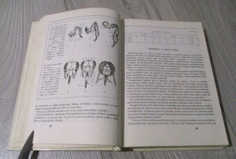 Abeceda včelára - 7