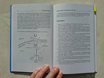 Voľné radikály a antioxidanty v medicíne (I) - Zdena Ďuračko - 7