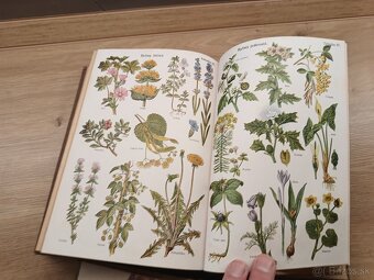 Prírodní léčba a domáci lekár I.+II. 1923 - 7