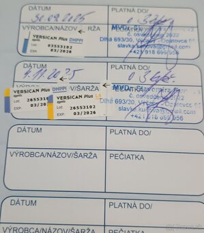 Americký pitbullterier - 7