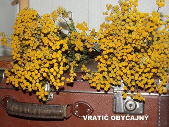 SUŠENÉ KVETY NA ĎALŠIU TVORBU - 7