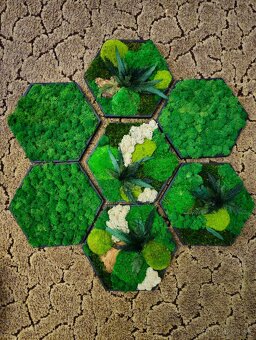 Machový obraz hexagón na mieru - 7