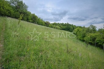 Rekreačný pozemok s rozostavanou chatkou – Kostolná-Záriečie - 7