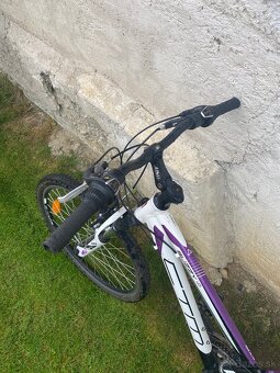 Horský Bicykel dámsky/pánsky - 7
