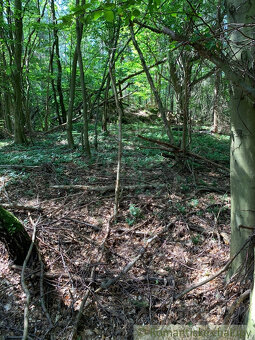 Exkluzívne: 4,2ha pozemok na polosamote - 7