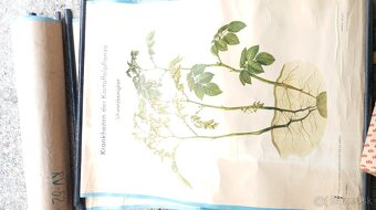 Staré školské tabule. - 7