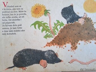 3x Dětská leporela z nakladatelství Mladé letá - 7