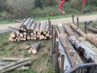 Predám palivové drevo - 7