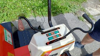 Predám japonský dumprik - 7