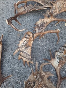 Parohy,zhody,trofeje - 7