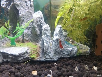 Akvárium ryby krevety filter teplomer dekorácie - 7