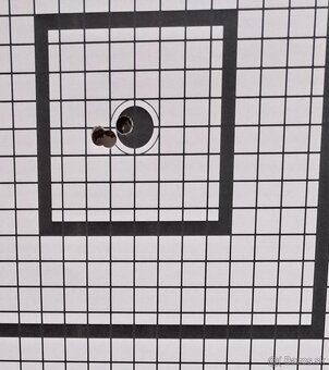 Blaser r8 - 7