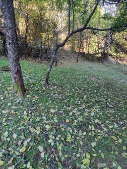 Pozemok Horná Mariková - 7