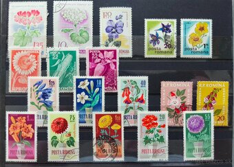 Známky kvety Rumunsko - 7