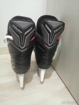 BAUER - 7