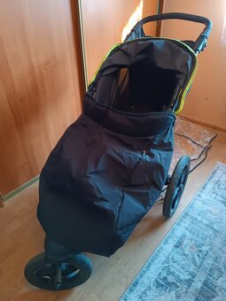 Hauck Runner - 7