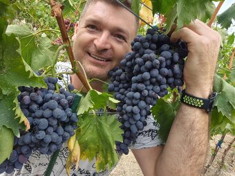 Predám pozemok v marcelovej. 1100m2 - 7