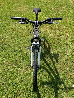 Dema Agila 28” - 7