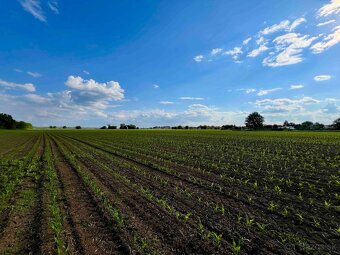 Vráble - 1421 m2 STAVEBNÝ pozemok - 7