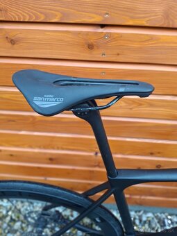 STORCK - FASCENARIO 3 COMP , VEL. M - 7