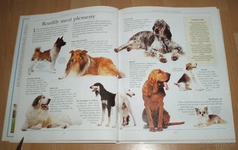 Výchova a výcvik psa - 7