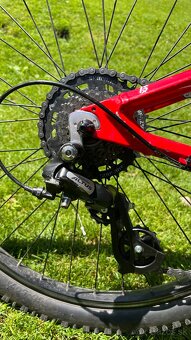Orbea MX 24 Dirt - 7