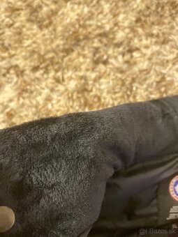 Canada goose west - 7