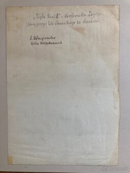 Václ. Bartoň - Na svatbě (1906) 4 orig. fotografie - 7