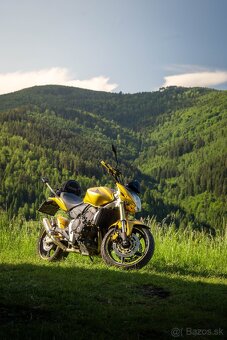 Honda CB600F Hornet 2008 - 7